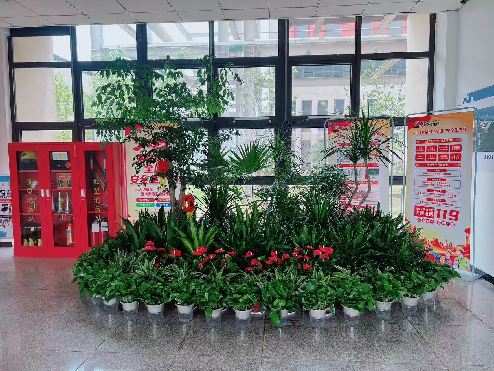 慈溪绿化修剪专业，打造城市精致绿色风景线